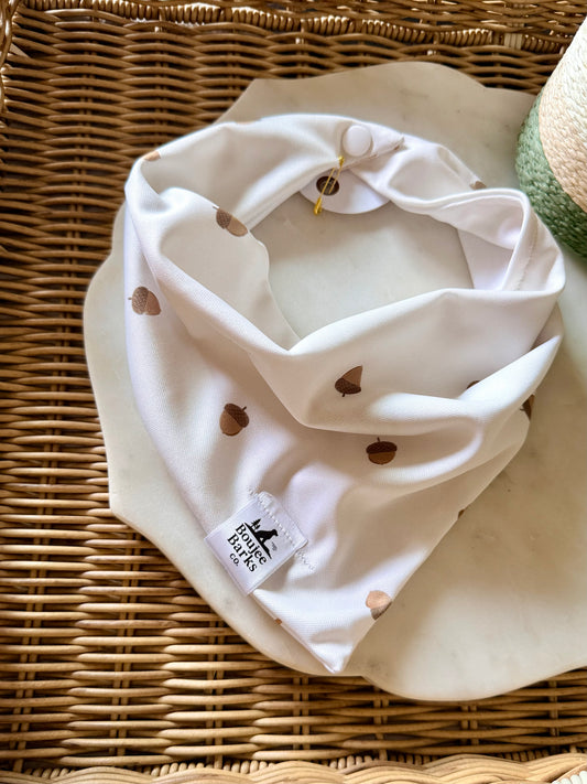 Boujee Barks Bandana Pumpkin & Acorn