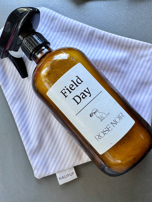 Field Day