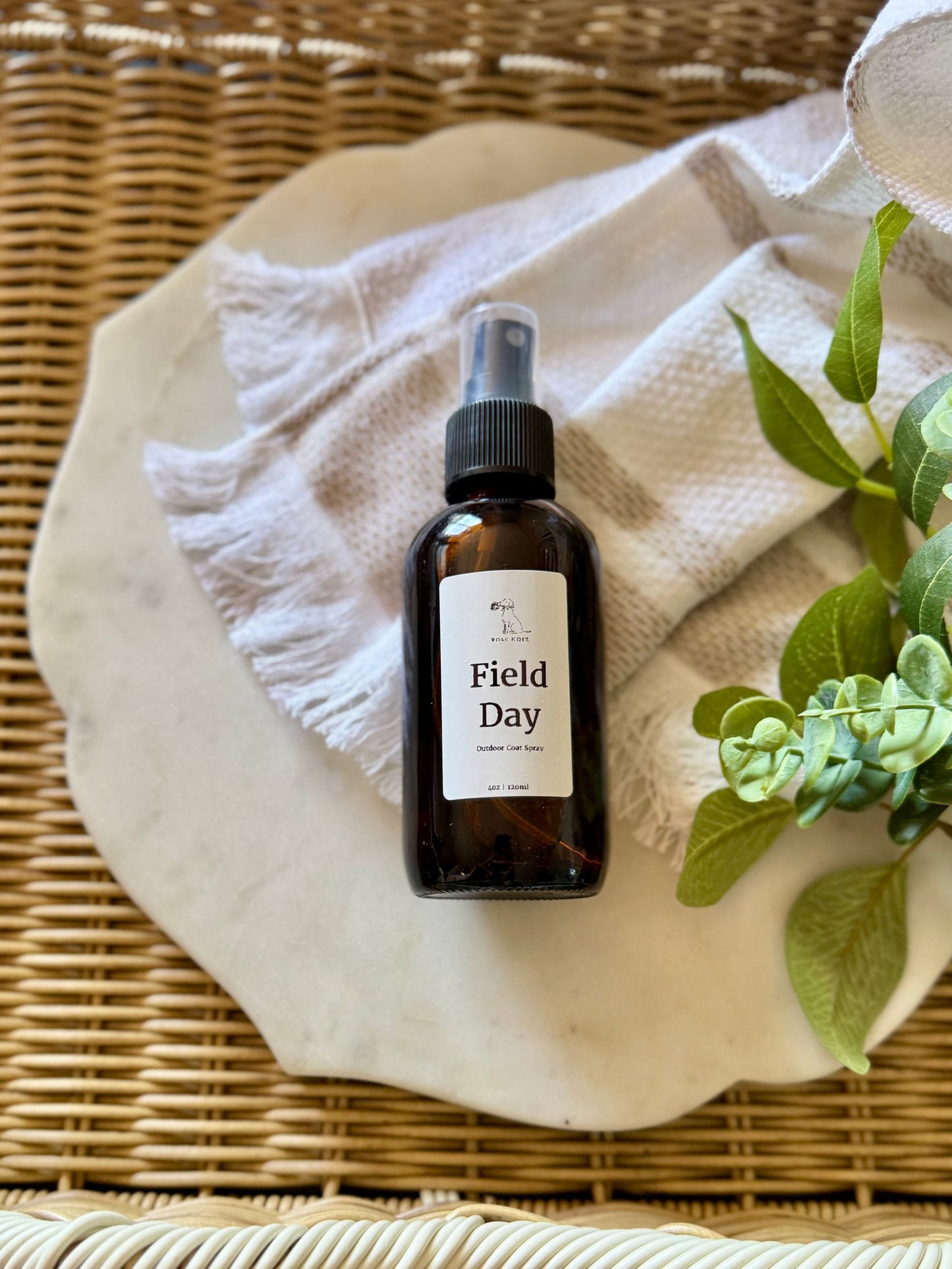 Field Day